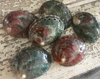 Beach Decor Red and Green Haliotis Pol Abalone Shells (3) - Abalone -Colorful Seashells - Beach Wedding -Craft Seashells -Coastal Home Decor