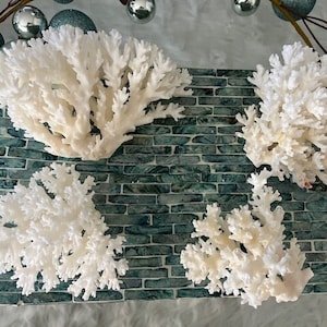 Puede incluir: Cuatro piezas de coral blanco sobre una superficie de azulejos verde y blanco. El coral es blanco blanqueado y tiene una estructura delicada y ramificada.