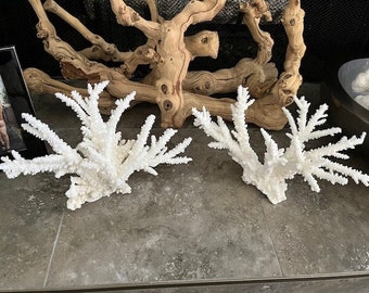 Beach Decor Extra Large Branch Coral - Branch Coral - Coral - Beach Decor - Coastal Home Decor - Natural Coral -Centerpiece - Beach Wedding