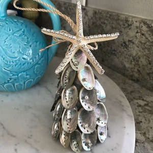 ビーチデコレーション 5個入り ミックスヒトデと貝殻の