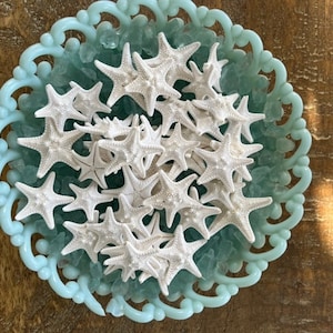 Mini Knobby Starfish 1-2" (10 PC) - Tiny White Knobby Starfish - Beach Decor - Coastal Home - Seashell Supply - Shell Crafts - Beach Wedding