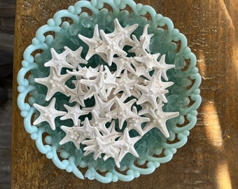 Mini Knobby Starfish 1-2" (10 PC) - Tiny White Knobby Starfish - Beach Decor - Coastal Home - Seashell Supply - Shell Crafts - Beach Wedding