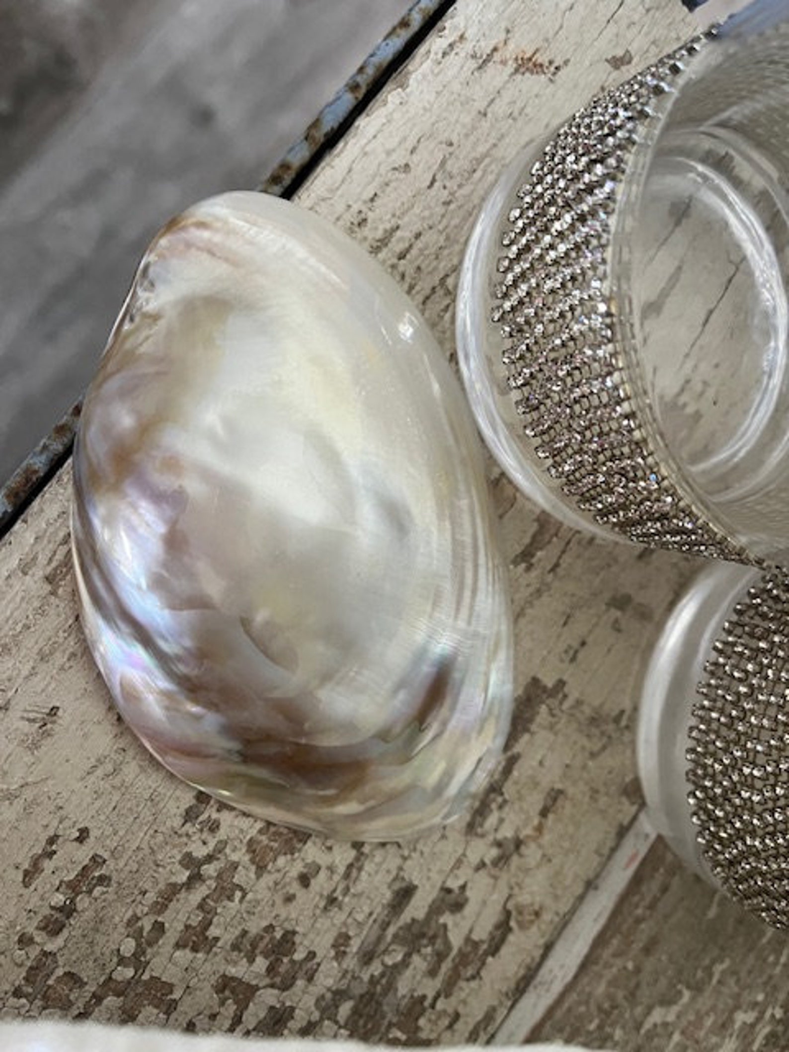 Beach Decor White Pearlized Clam Shell Halves (3 Pcs) - Polished Clam ...