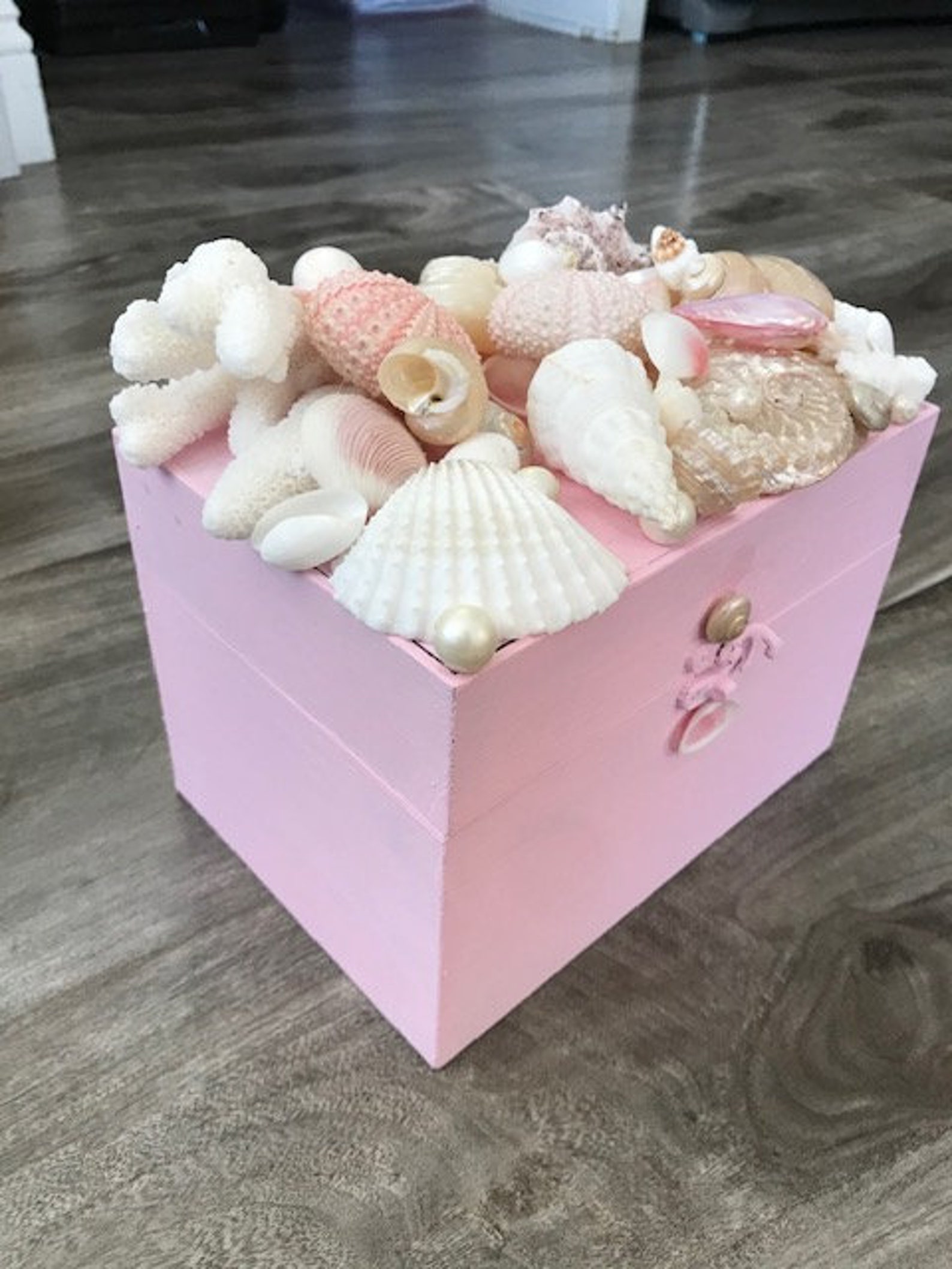 Beach Decor Seashell Jewelry Box Jewelry Box Shell Jewelry Etsy