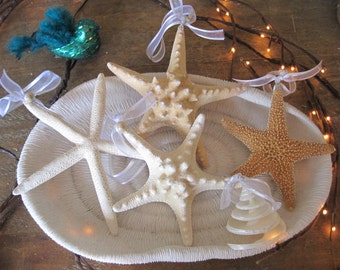 Beach Decor Mixed Starfish and Seashell Christmas Ornaments (5PC) -Assorted Shell Ornaments -Nautical Holiday Ornaments -Xmas Shell Ornament