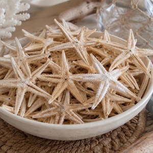 May include: A collection of dried starfish in a white ceramic bowl. The starfish are beige and white, with a textured surface. The bowl is set on a natural wood surface, with a coastal theme.