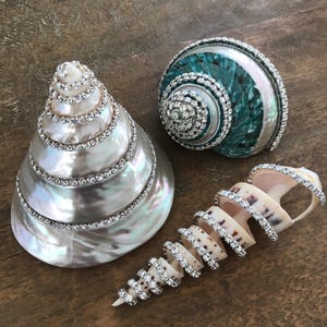 May include: Three decorative seashells embellished with clear rhinestones. One large conical shell has a pearlescent finish, a rounded shell features teal and iridescent tones, and a long spiral shell has a cream base with dark brown spots.