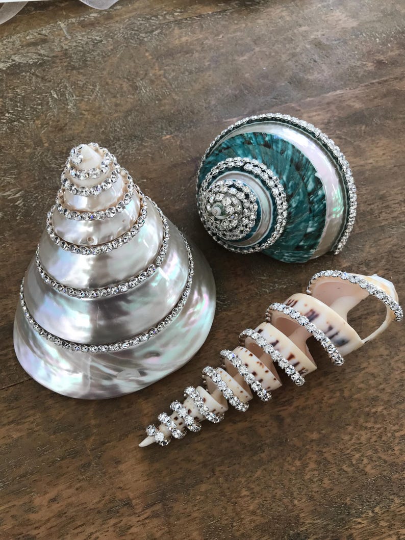 May include: Three decorative seashells embellished with clear rhinestones. One large conical shell has a pearlescent finish, a rounded shell features teal and iridescent tones, and a long spiral shell has a cream base with dark brown spots.