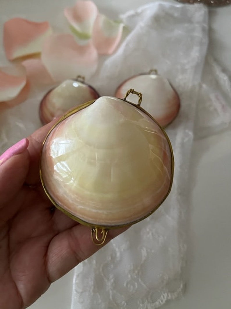 Handmade Wedding Seashell Ring Holder Coin Purse Ring Bearer Holder Beach Wedding Engagement Pill Box Holder Coastal Gift Trinkets 画像 7