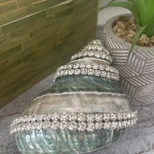 May include: A natural spiral seashell decorated with multiple rows of clear, sparkling rhinestone trim wrapped around its exterior. The shell features a smooth, iridescent surface with shades of green, brown, and white, accented by the silver-toned metal settings of the rhinestones.