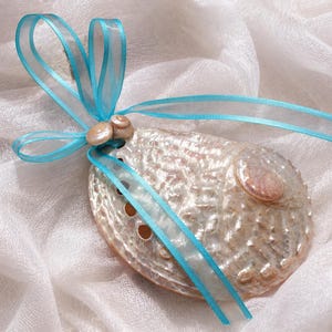 May include: An iridescent abalone shell ornament featuring a textured, pearlescent surface with a series of small circular holes along one edge. The shell is adorned with a bright turquoise ribbon tied in a bow and two small, light-colored seashells.