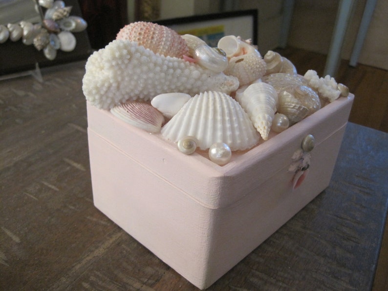 Beach Decor Seashell Jewelry Box Jewelry Box Shell Jewelry Etsy