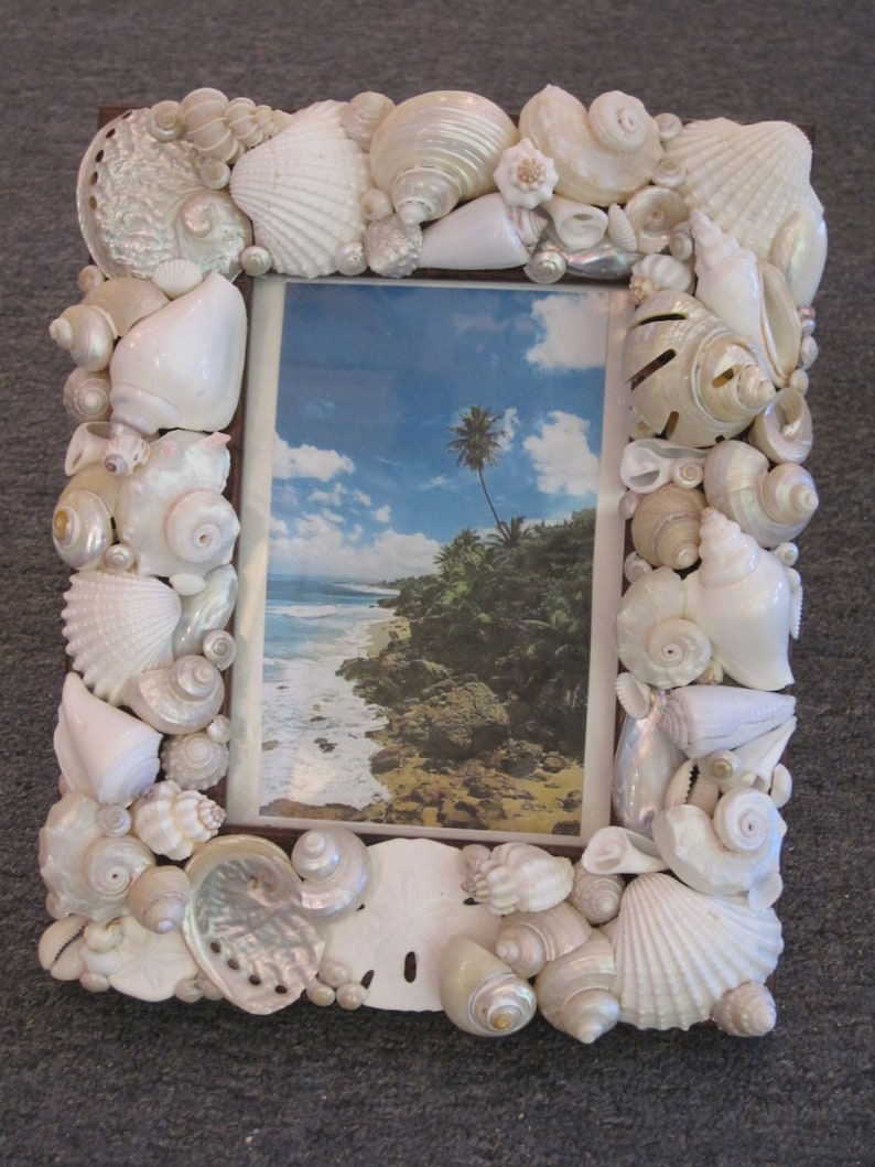 Beach Decor White Seashell Picture Frame Shell Frame White Shell Picture Frame Shell Wood Frame Beach Wedding Gift image 1