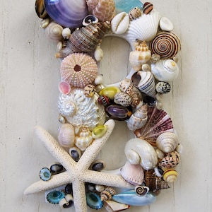 Könnte beinhalten: Ein dekorativer Buchstabe B, der mit einer Vielzahl von Muscheln bedeckt ist, darunter eine große violette Muschel oben, ein strukturierter Seeigel und ein markanter weißer Seestern unten. Die Muscheln variieren in Farbe, Form und Größe.