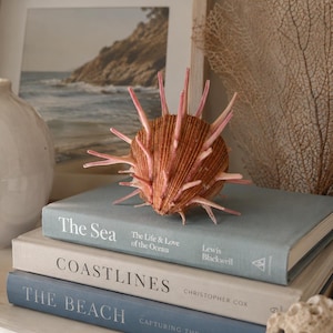 May include: A decorative seashell with pink spines rests atop a stack of books. The books are titled "The Sea," "Coastlines," and "The Beach." A framed coastal landscape and a dried sea fan are in the background.