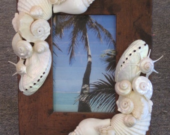 Beach Decor Seashell Picture Frame - Shell Frame - White Shell Picture Frame - Beach wedding