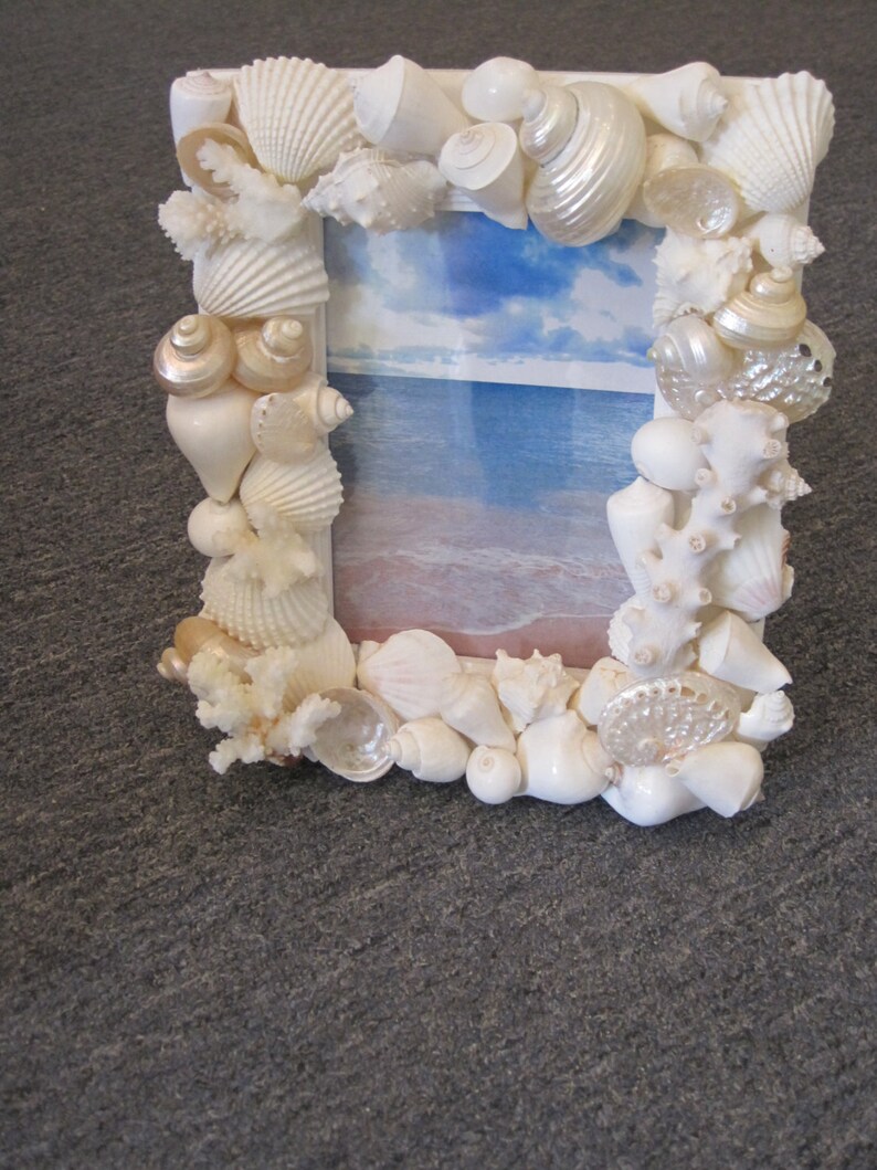 Beach Decor Seashell Picture Frame Shell Frame White Etsy