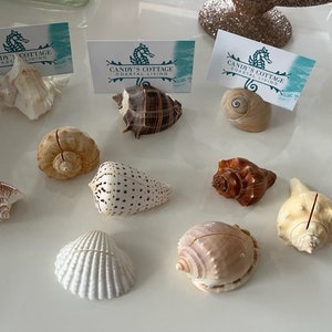 Plaatskaarthouders met echte schelpen - 10/20/50/100 - Strandbruiloften - Bruidsborrels - Feesten - Babyborrels - Verloving - Dinerfeest - Kaarten