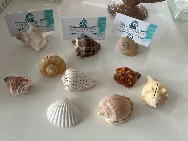 Seashell Place Card Holders 10/20/50/100 Beach Weddings Bridal Showers Parties Baby Showers Engagement Dinner Party Cards image 1