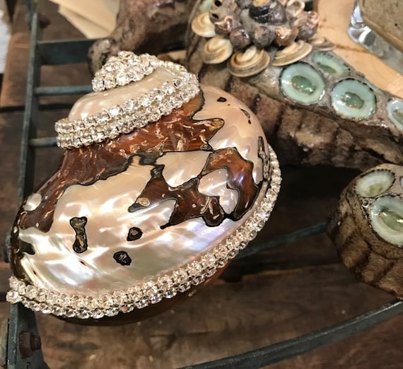 SWAROVSKI シェル 貝殻 置物 楽天市場】スワロフスキー Swarovski クリスタル シェル 191692