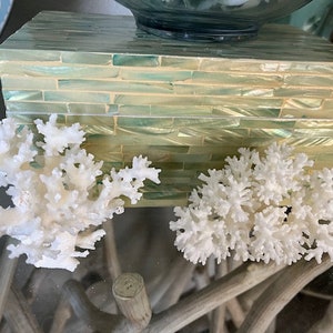 Puede incluir: Dos piezas de coral blanco sobre una superficie de vidrio con una caja de azulejos verde y blanca en el fondo.