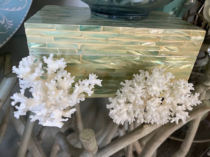 Puede incluir: Dos piezas de coral blanco sobre una superficie de vidrio con una caja de azulejos verde y blanca en el fondo.