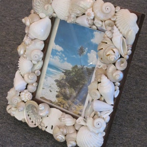 Beach Decor White Seashell Picture Frame Shell Frame White Shell Picture Frame Shell Wood Frame Beach Wedding Gift image 2