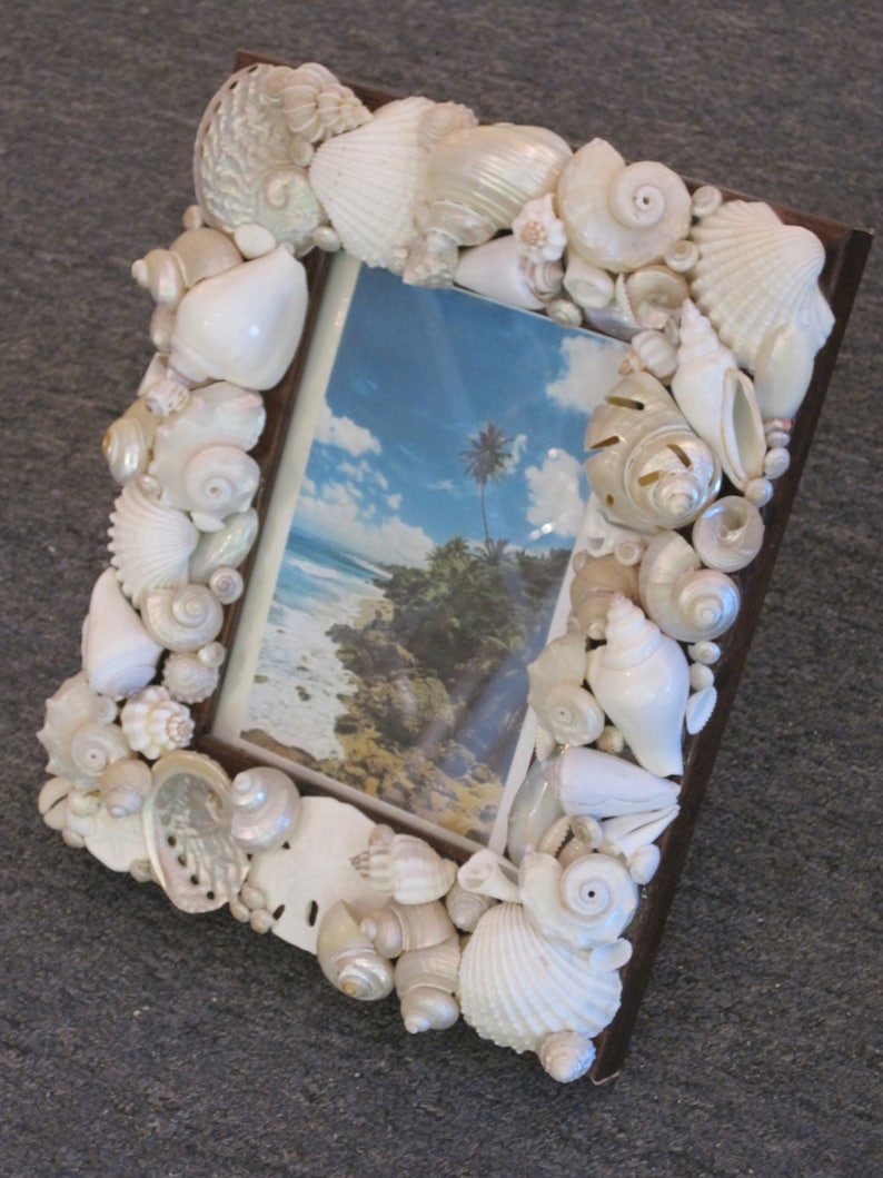 Beach Decor White Seashell Picture Frame Shell Frame White Shell Picture Frame Shell Wood Frame Beach Wedding Gift image 2