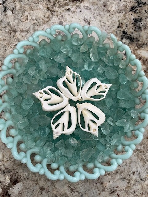 Center Cut Canarium Shells (5) - White Shells - Coastal Home Decor - Craft Seashells - Seashell Supply - Beach Wedding - Christmas Ornaments