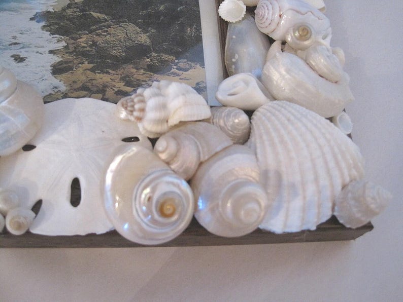 Wight Shell Frame Beach Decor White Seashell Picture Frame - Shell Frame - White Shell ...