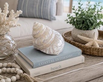 Beach Decor - Wavy Top Polished Turbo Shell -  Turbo Shell - Seashell Supply - Seashells - Natural Shells - Beach Wedding - Pearlized Shells