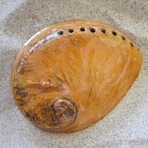 Dyed Orange Abalone Seashell  - Large Polished Abalone Shell - Seashell Supply - Craft Seashells - Coastal Home Decor - Beach Wedding