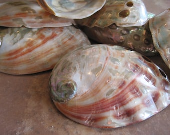 Beach Decor Red Abalone Shells (2 pcs) - Abalone Shells - Seashell Supply - Beach Wedding - Craft Seashells - Coastal Home Decor