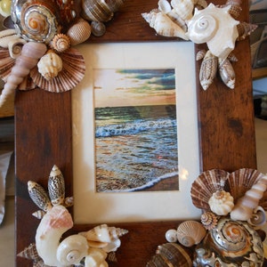 Beach Decor Shell Picture Frame - Seashell Frame - Shell Frame -  Dark Shell Frame - Coastal Home Decor - Wedding Gift