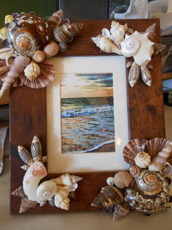 Saco de decoración de conchas de mar marrones 20x9x20cm-La Decoteca