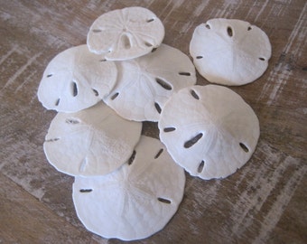 10 Extra Small Sand dollars - Seashell Supply - Tiny Sand Dollars - Seashells - Seashell craft supply - Beach Wedding