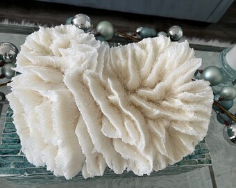 Beach Decor Rare Extra Large Lettuce Coral - Specimen Coral - Beach Decor - Coastal Home Decor - Natural Coral - Shells - Centerpiece