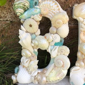 Beach Decor 