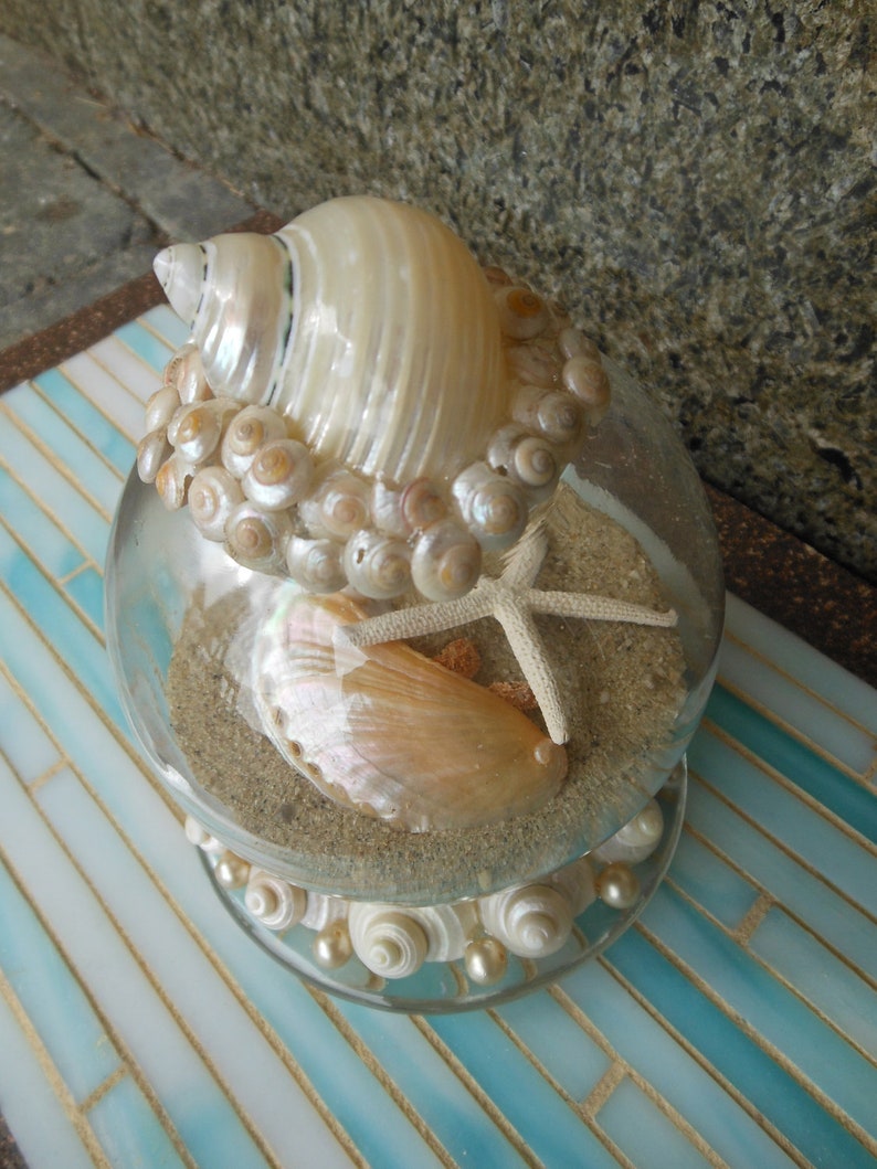 Beach Decor Seashell and Sand Globe Coastal Snow Globe | Etsy