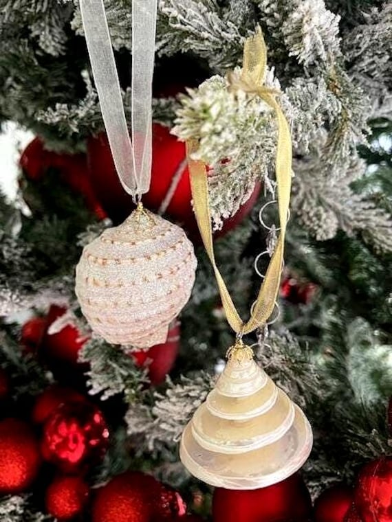 ビーチデコレーション クリスマス 貝殻 2 個オーナメントセット - 本物