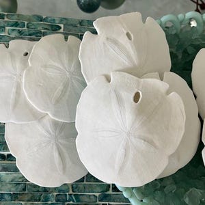 Sand Dollars - Large Arrowhead Sand Dollars (10) - Beach Decor - Seashell Supply - Seashells - Seashell craft supply - Beach Wedding