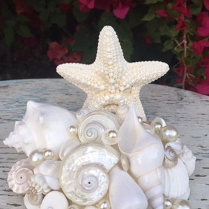May include: A decorative arrangement featuring a central white starfish positioned behind a cluster of various white seashells and smooth, round white pearls. The collection includes spiral shells, conch-style shells, and bivalves, all clustered together to form a textured, multi-layered coastal display.