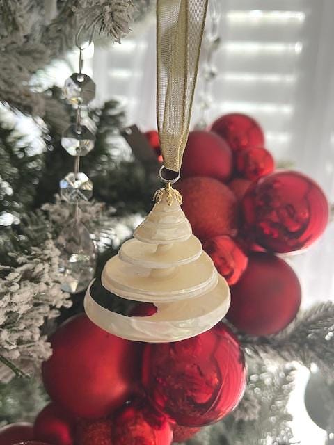 ビーチデコレーション クリスマス 貝殻 2 個オーナメントセット - 本物