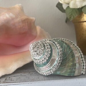 May include: A decorative seashell ornament featuring a teal and iridescent green finish, embellished with rows of clear, sparkling rhinestones along its spiral ridges and outer edges, creating a textured and reflective surface appearance.