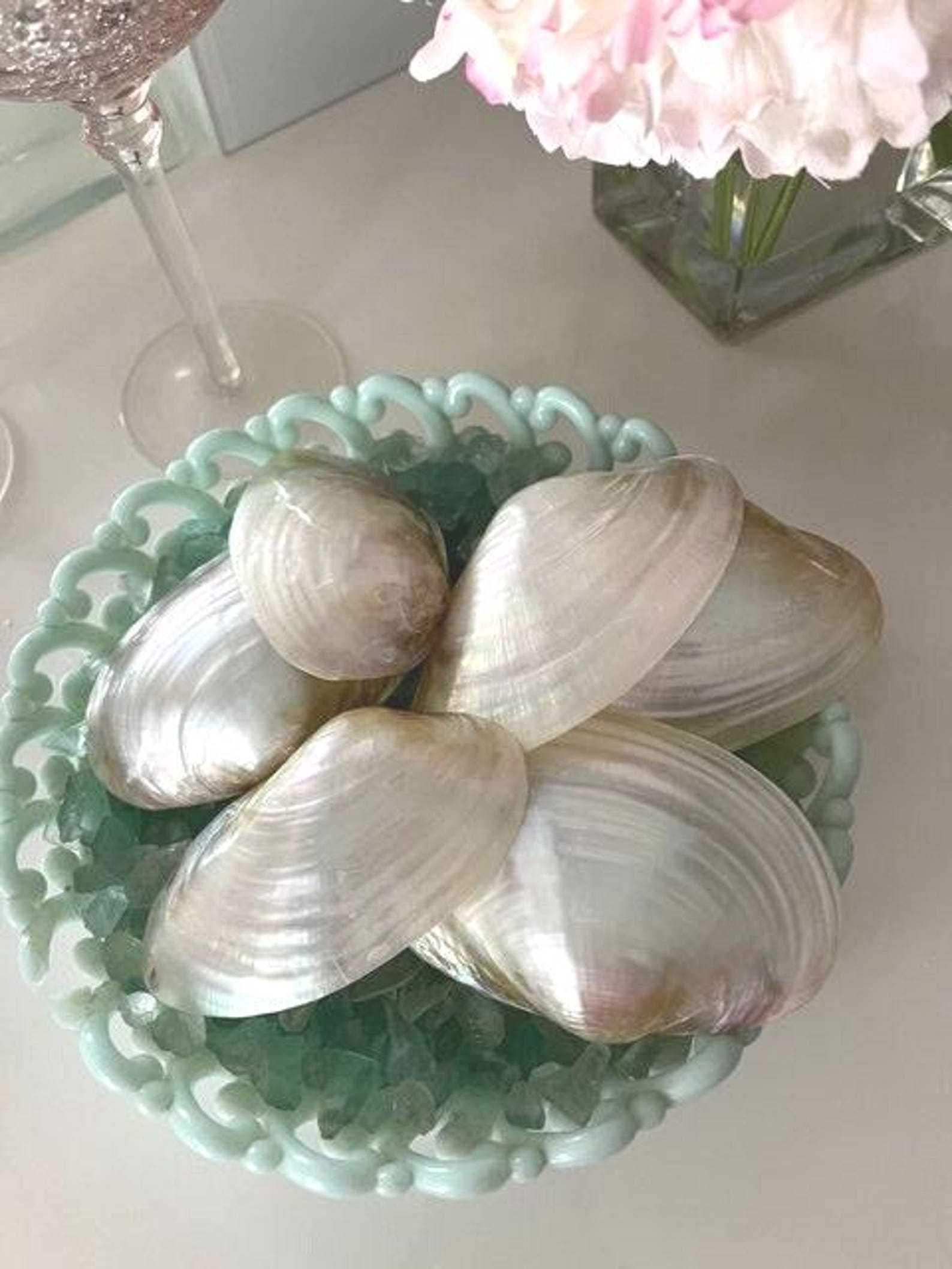Pearlized Razor Clam Shell Beach Decor White Pearlized Clam Shell Halves (3 Pcs) - Polished Clam ...