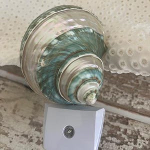 Peut inclure: Veilleuse décorative avec un grand coquillage irisé aux tons verts, bleus et bruns. La coquille est montée sur une base de veilleuse rectangulaire blanche avec un seul capteur de lumière central.