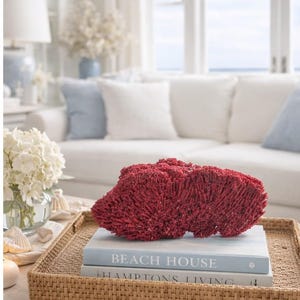 Real Red Pipe Coral - Coral - Beach Decor - Coastal Home Decor - Home Decor - Natural Red Coral - Rare Coral - Beach House Centerpiece