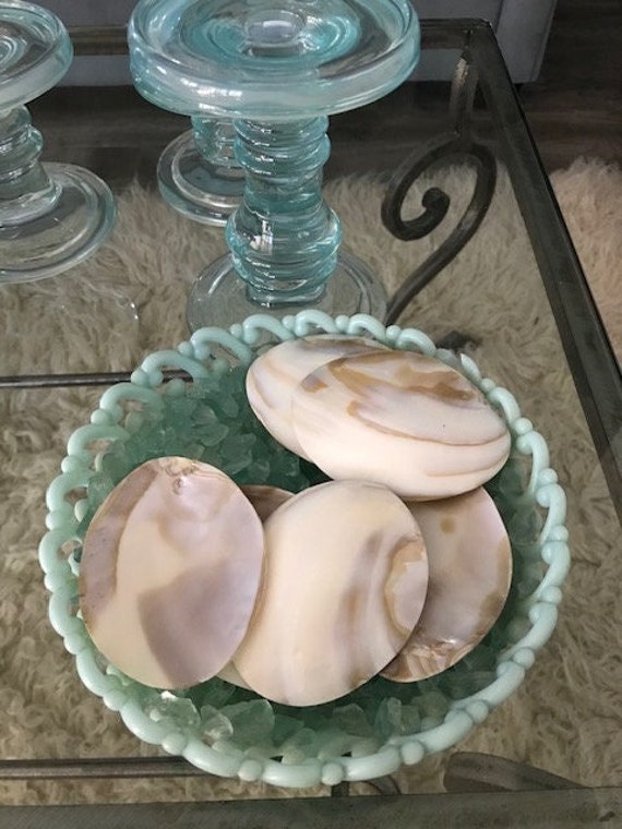 Beach Decor White Pearlized Clam Shell Halves | 3 - Polished Wedding Craft Seashells Nautical Coastal Home