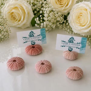 Seashell Place Card Holders - Pink Urchin Place Card Holders - 10/20/50/100-Beach Weddings-Bridal Showers - Parties- Engagement-Dinner Party