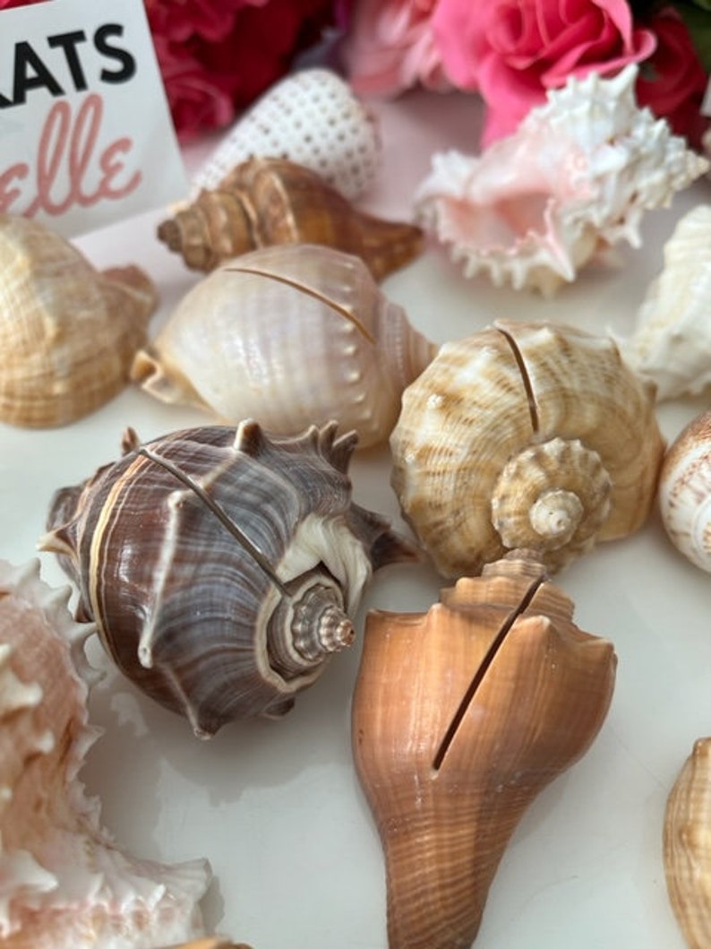 Seashell Place Card Holders 10/20/50/100 Beach Weddings Bridal Showers Parties Baby Showers Engagement Dinner Party Cards image 7